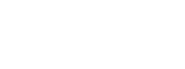 VellumDS_Logo_-white-1